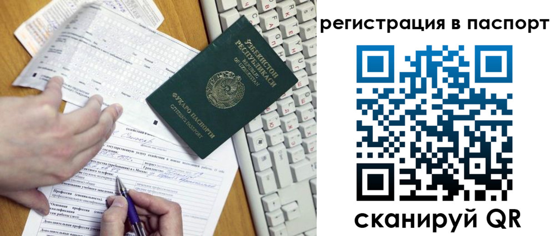 прописка поиск в Шебекино